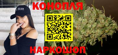 дмт Дубна