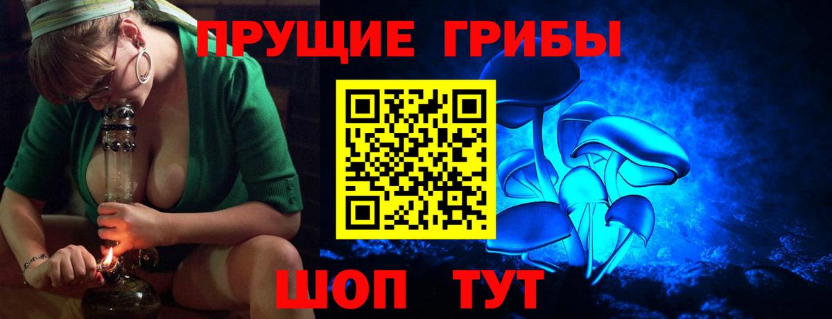 Краснознаменск  Галлюциногенные грибы мицелий  Вход с VPN  Псилоцибиновые грибы мухоморы 